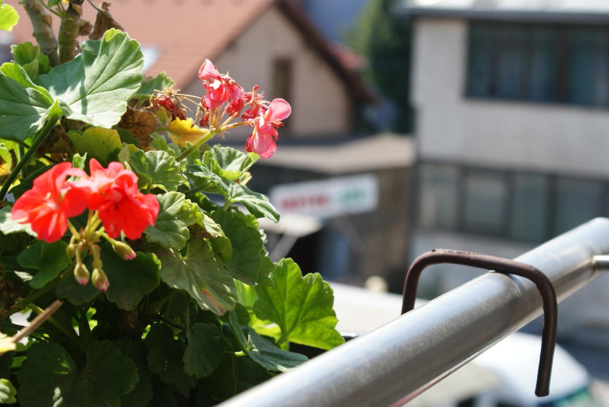 Hotel Ada - Otoka Sarajevo Phòng bức ảnh